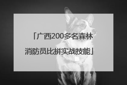 广西200多名森林消防员比拼实战技能