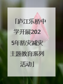 庐江乐桥中学开展2025年防灾减灾主题教育系列活动