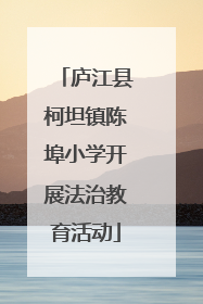 庐江县柯坦镇陈埠小学开展法治教育活动