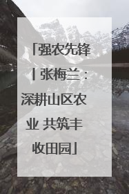 强农先锋丨张梅兰：深耕山区农业 共筑丰收田园