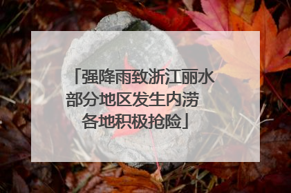 强降雨致浙江丽水部分地区发生内涝 各地积极抢险