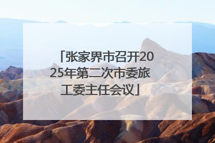 张家界市召开2025年第二次市委旅工委主任会议