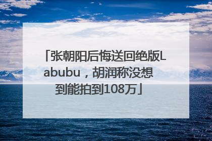 张朝阳后悔送回绝版Labubu，胡润称没想到能拍到108万