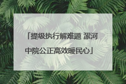 提级执行解难题 漯河中院公正高效暖民心
