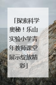 探索科学奥秘！乐山实验小学青年教师课堂展示绽放精彩