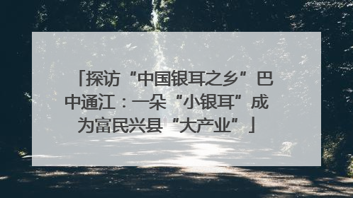 探访“中国银耳之乡”巴中通江：一朵“小银耳”成为富民兴县“大产业”