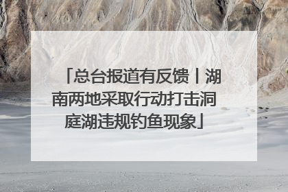 总台报道有反馈丨湖南两地采取行动打击洞庭湖违规钓鱼现象