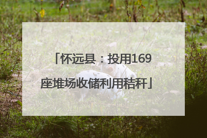怀远县：投用169座堆场收储利用秸秆