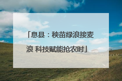 息县：秧苗绿浪接麦浪 科技赋能抢农时