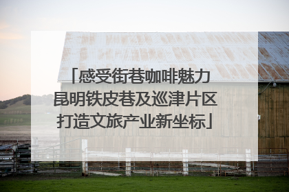 感受街巷咖啡魅力 昆明铁皮巷及巡津片区打造文旅产业新坐标