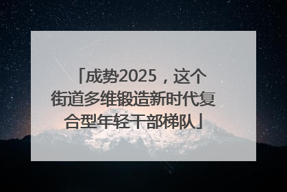 成势2025，这个街道多维锻造新时代复合型年轻干部梯队