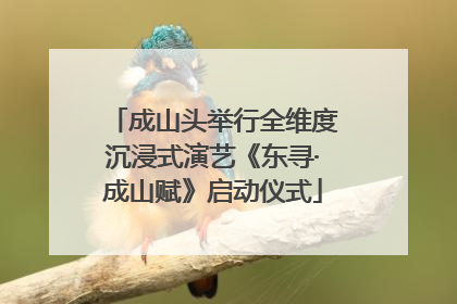 成山头举行全维度沉浸式演艺《东寻·成山赋》启动仪式