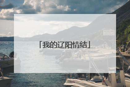 我的辽阳情结