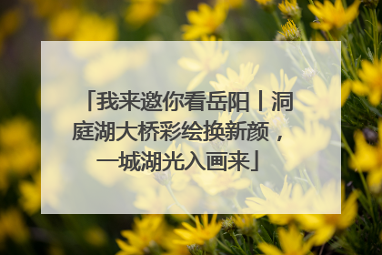 我来邀你看岳阳丨洞庭湖大桥彩绘换新颜，一城湖光入画来