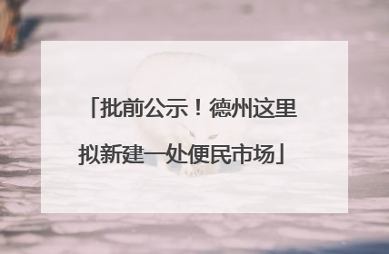 批前公示！德州这里拟新建一处便民市场