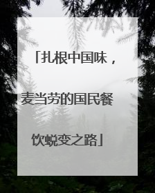 扎根中国味，麦当劳的国民餐饮蜕变之路