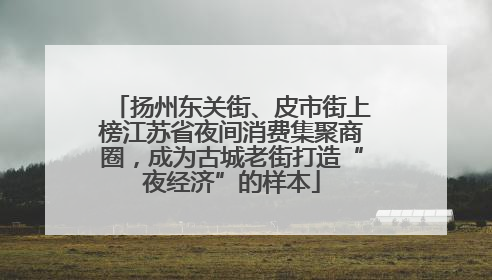 扬州东关街、皮市街上榜江苏省夜间消费集聚商圈，成为古城老街打造“夜经济”的样本