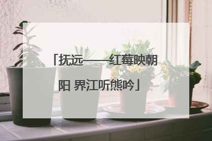 抚远——红莓映朝阳 界江听熊吟