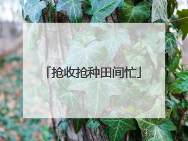 抢收抢种田间忙