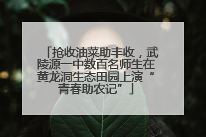 抢收油菜助丰收，武陵源一中数百名师生在黄龙洞生态田园上演“青春助农记”