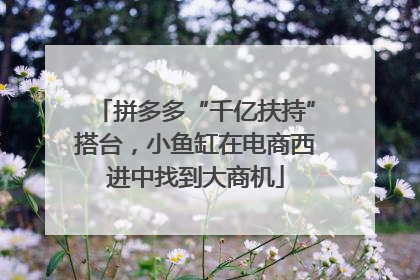 拼多多“千亿扶持”搭台，小鱼缸在电商西进中找到大商机