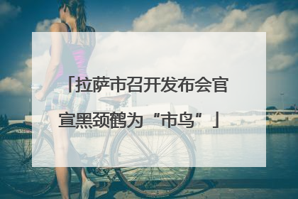 拉萨市召开发布会官宣黑颈鹤为“市鸟”