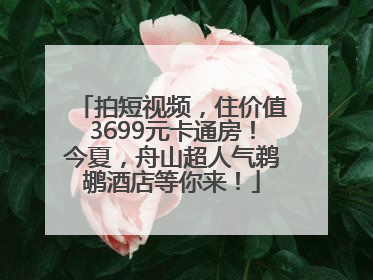 拍短视频，住价值3699元卡通房！今夏，舟山超人气鹈鹕酒店等你来！
