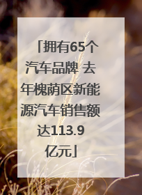 拥有65个汽车品牌 去年槐荫区新能源汽车销售额达113.9亿元