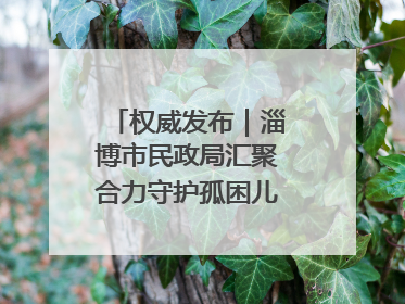 权威发布｜淄博市民政局汇聚合力守护孤困儿童健康成长