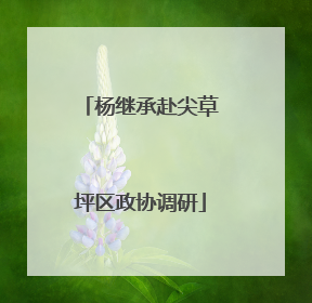 杨继承赴尖草坪区政协调研