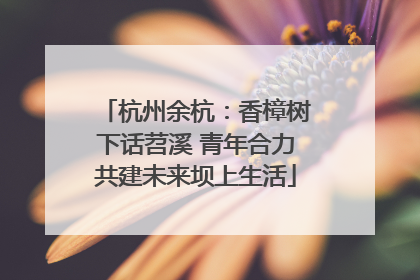 杭州余杭：香樟树下话苕溪 青年合力共建未来坝上生活