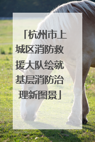 杭州市上城区消防救援大队绘就基层消防治理新图景