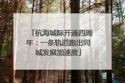杭海城际开通四周年：一条轨道跑出同城发展加速度