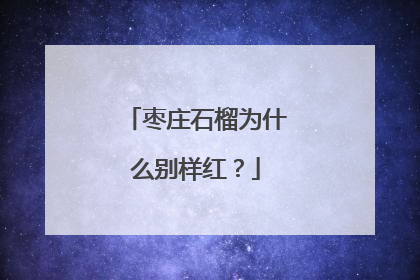 枣庄石榴为什么别样红？