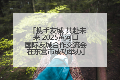 携手友城 共赴未来 2025黄河口国际友城合作交流会在东营市成功举办