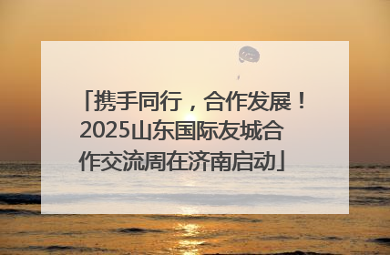 携手同行，合作发展！2025山东国际友城合作交流周在济南启动