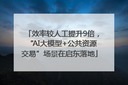 效率较人工提升9倍，“AI大模型+公共资源交易”场景在启东落地