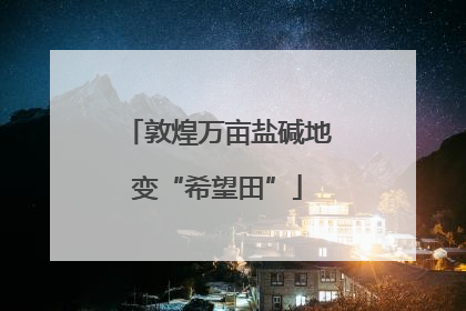 敦煌万亩盐碱地变“希望田”