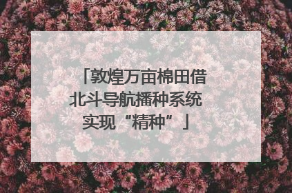 敦煌万亩棉田借北斗导航播种系统实现“精种”