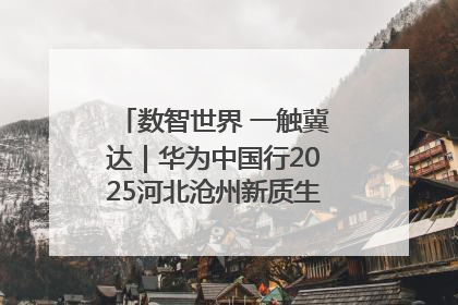 数智世界 一触冀达｜华为中国行2025河北沧州新质生产力峰会成功举办