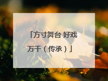 方寸舞台 好戏万千（传承）