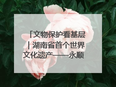 文物保护看基层｜湖南省首个世界文化遗产——永顺老司城遗址