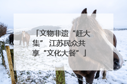 文物非遗“赶大集” 江苏民众共享“文化大餐”