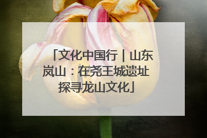 文化中国行｜山东岚山：在尧王城遗址探寻龙山文化