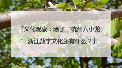 文化观察：除了“杭州六小龙” 浙江数字文化还有什么？