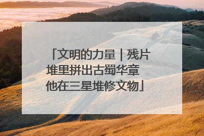 文明的力量｜残片堆里拼出古蜀华章 他在三星堆修文物