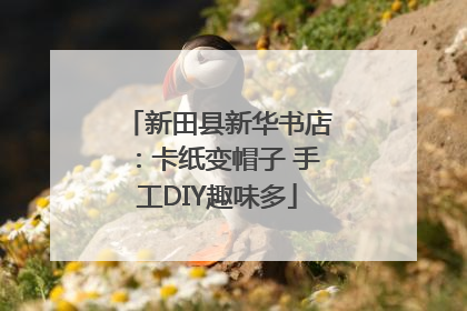 新田县新华书店：卡纸变帽子 手工DIY趣味多