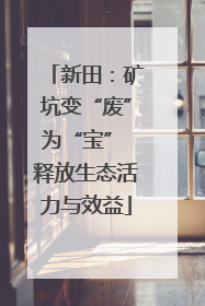 新田：矿坑变“废”为“宝” 释放生态活力与效益