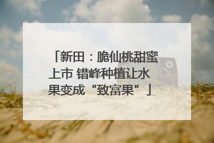 新田：脆仙桃甜蜜上市 错峰种植让水果变成“致富果”