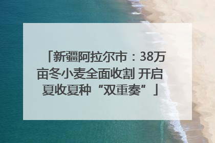 新疆阿拉尔市：38万亩冬小麦全面收割 开启夏收夏种“双重奏”